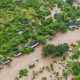 À cause des inondations au Kenya.. Évacuation des touristes de la réserve "Masai Mara"