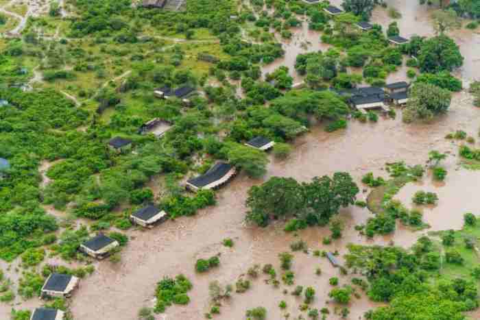 À cause des inondations au Kenya.. Évacuation des touristes de la réserve "Masai Mara"