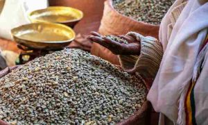 La Mauritanie et le Programme alimentaire mondial signent un mécanisme pour faire face aux chocs alimentaires