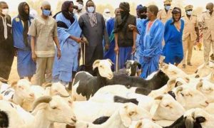 Importer des moutons au Sénégal lors d'une réunion entre le ministre du développement et celui de la Mauritanie