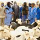 Importer des moutons au Sénégal lors d'une réunion entre le ministre du développement et celui de la Mauritanie
