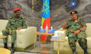 Le Somaliland sécessionniste insiste pour achever l'accord maritime avec l'Éthiopie dans les deux mois