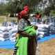 Plus de la moitié des Zimbabwéens ont besoin d'aide alimentaire après une sécheresse dévastatrice